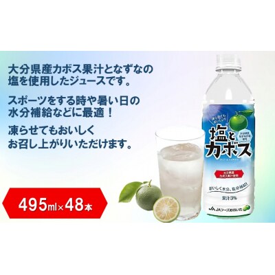 塩とカボス 2ケース/495ml×48本_2681R-2