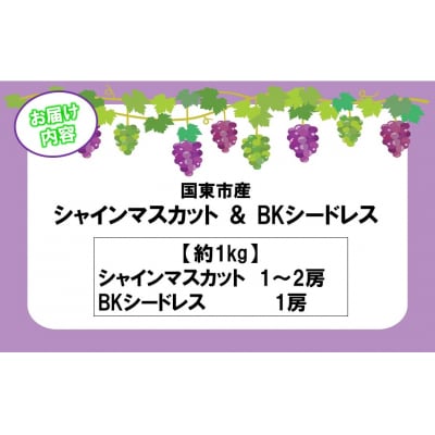 【令和8年発送】農家直送!朝づみシャインマスカット&BKシードレス 種なし約1kg_2658R-1