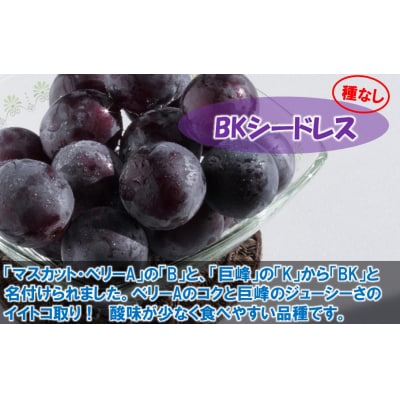 【令和8年発送】農家直送!朝づみシャインマスカット&BKシードレス種なし約1.5kg_2658R-2