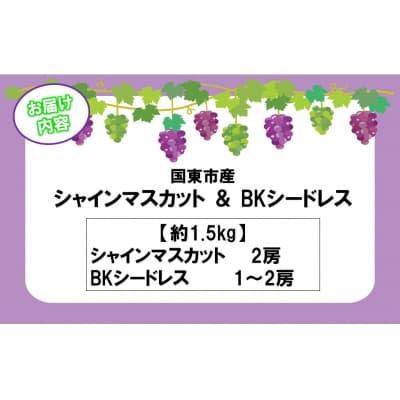 【令和8年発送】農家直送!朝づみシャインマスカット&BKシードレス種なし約1.5kg_2658R-2