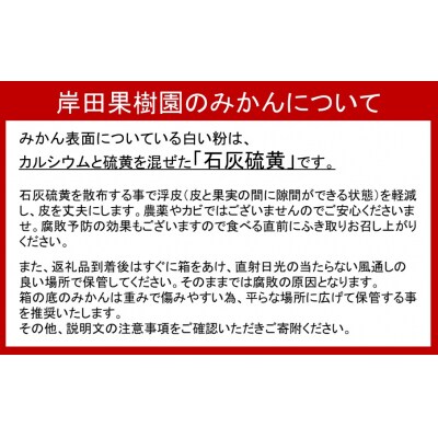 【訳あり】※晩生品種/岸田果樹園「温故蜜柑」約7kg _2328R