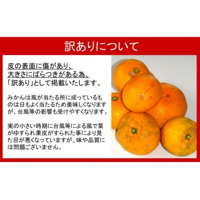 【訳あり】※晩生品種/岸田果樹園「温故蜜柑」約7kg _2328R