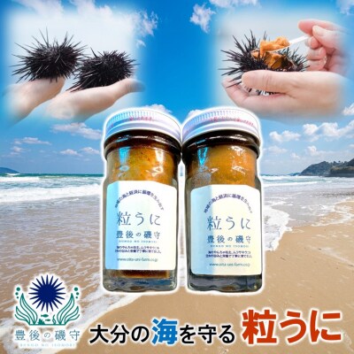 豊後の磯守 粒うに 60g×2本 _2522R