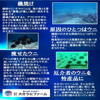 豊後の磯守 粒うに 60g×2本 _2522R