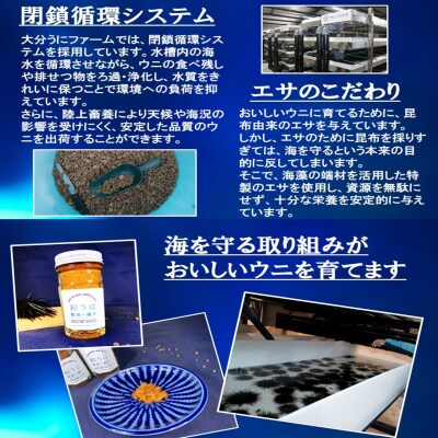 豊後の磯守 粒うに 60g×2本 _2522R