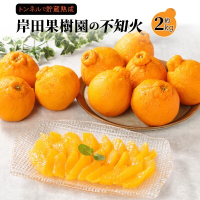 冷蔵発送/岸田果樹園の不知火約2kg_1744R