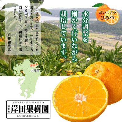 冷蔵発送/岸田果樹園の不知火約2kg_1744R