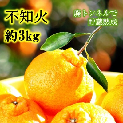 冷蔵発送/岸田果樹園の不知火 約3kg_1514R