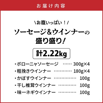 お腹いっぱいソーセージ&ウインナー 5種 2.22kg_29199A-4
