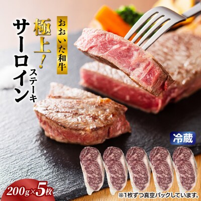 冷蔵発送/おおいた和牛サーロインステーキ1kg_1792R-5