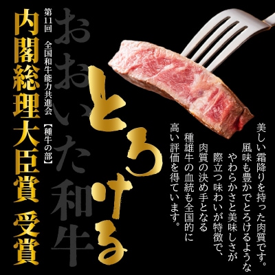 冷蔵発送/おおいた和牛サーロインステーキ1kg_1792R-5