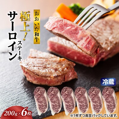 冷蔵発送/おおいた和牛サーロインステーキ1.2kg_1792R-6