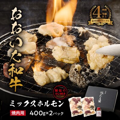 【秘伝のタレ付】おおいた和牛ミックスホルモン400g×2パック_2678R