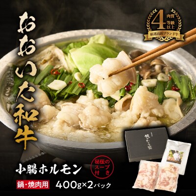 【秘伝のスープ付】おおいた和牛 小腸ホルモン400g×2パック_2680R