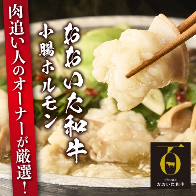 【秘伝のスープ付】おおいた和牛 小腸ホルモン400g×2パック_2680R