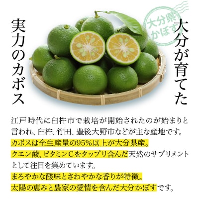 【毎月1ケース】つぶらなカボス　2回定期便_2726R-1