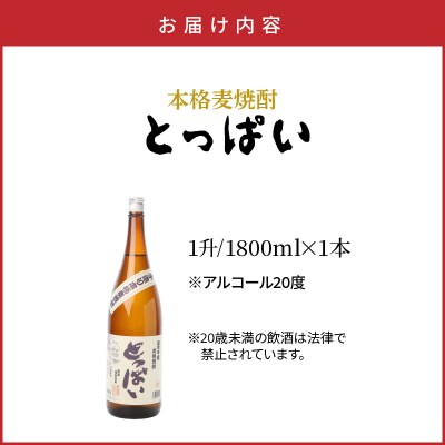 本格麦焼酎「とっぱい」900ml_064Z-2