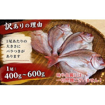 天然鯛の一夜干し 訳あり 2.0kg(4尾〜5尾) 干物 タイ おかず つまみ_1613R