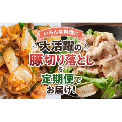 大分県産 豚切り落とし 定期便 1.2kg (400g×3P) 12回_2749R-12