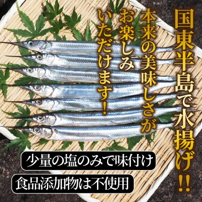 国東さよりの一夜干し/大漁1kg_1043R