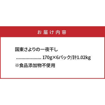 国東さよりの一夜干し/大漁1kg_1043R