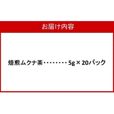 焙煎ムクナ茶 5g×20パック_2750R