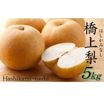【先行受付】令和8年発送/辰口農園の橋上梨約5kg(品種:幸水)_1018R