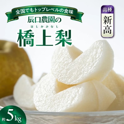 【先行受付】令和8年発送 /辰口農園の橋上梨約5kg(品種:新高)_1222R