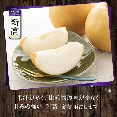 【先行受付】令和8年発送 /辰口農園の橋上梨約5kg(品種:新高)_1222R