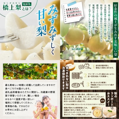 【先行受付】令和8年発送 /辰口農園の橋上梨約5kg(品種:新高)_1222R