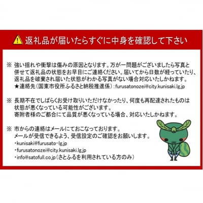 【先行受付】令和8年発送/辰口農園の橋上梨約5kg(品種:新興)_1288R