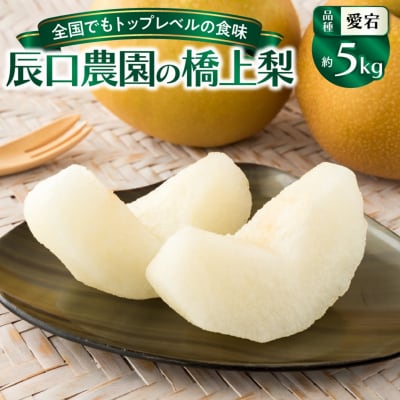 【先行受付】令和8年発送/辰口農園の橋上梨約5kg(品種:愛宕)_1303R