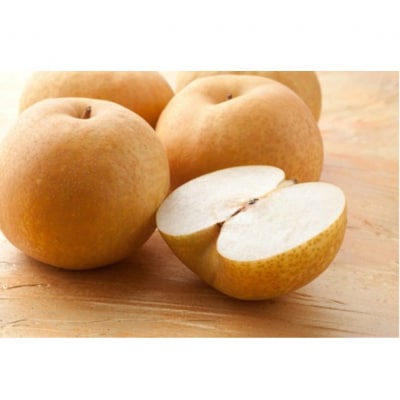 【先行予約】令和8年発送 / 辰口農園の橋上梨約5kg(品種:あきづき)_2431R