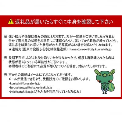 【先行予約】令和8年発送 / 辰口農園の橋上梨約5kg(品種:あきづき)_2431R