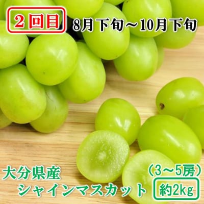 大分県産 旬のフルーツ定期便(全4回)_2717R