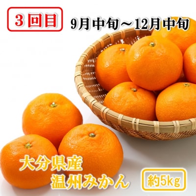 大分県産 旬のフルーツ定期便(全4回)_2717R