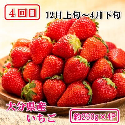 大分県産 旬のフルーツ定期便(全4回)_2717R