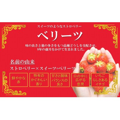 大分県ブランドいちご/スイーツみたいな「ベリーツ」540g(270g×2P)_2338R