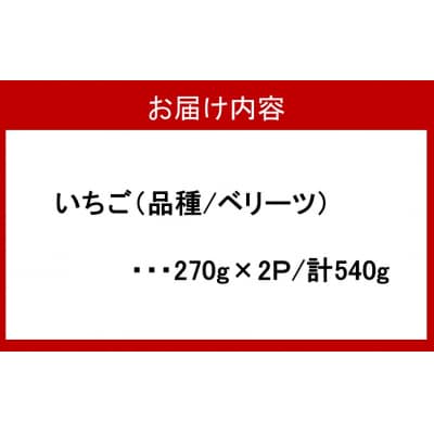 大分県ブランドいちご/スイーツみたいな「ベリーツ」540g(270g×2P)_2338R