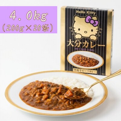 ハローキティおおいたカレー4.0kg(200g×20袋)豊後牛_2776R