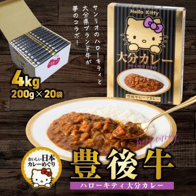 ハローキティおおいたカレー4.0kg(200g×20袋)豊後牛_2776R