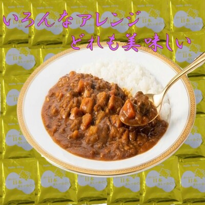 ハローキティおおいたカレー4.0kg(200g×20袋)豊後牛_2776R