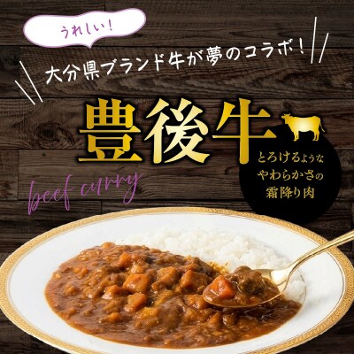 ハローキティおおいたカレー4.0kg(200g×20袋)豊後牛_2776R