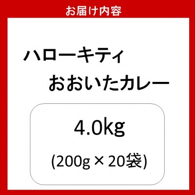 ハローキティおおいたカレー4.0kg(200g×20袋)豊後牛_2776R