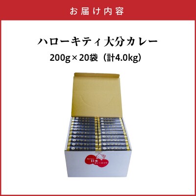 ハローキティおおいたカレー4.0kg(200g×20袋)豊後牛_2776R