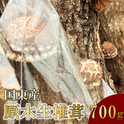 【先行受付】国東産 原木生しいたけ 700g_2767R
