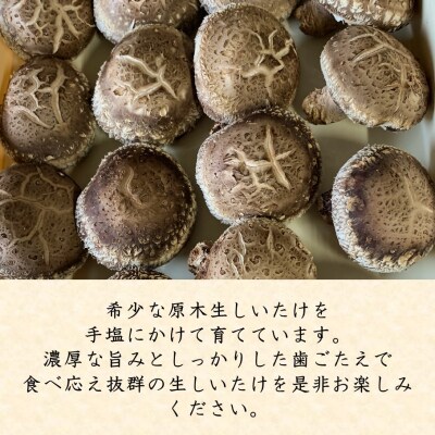 【先行受付】国東産 原木生しいたけ 700g_2767R