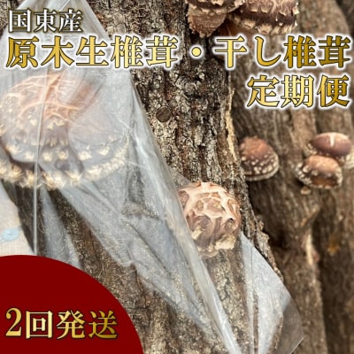【先行受付】原木生椎茸と干し椎茸の定期便 計2回発送_2768R-1