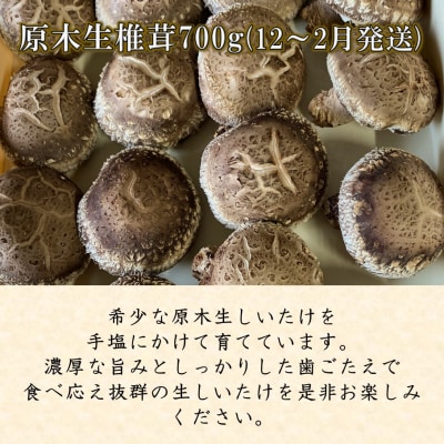 【先行受付】原木生椎茸と干し椎茸の定期便 計2回発送_2768R-1