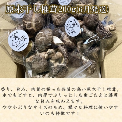 【先行受付】原木生椎茸と干し椎茸の定期便 計2回発送_2768R-1